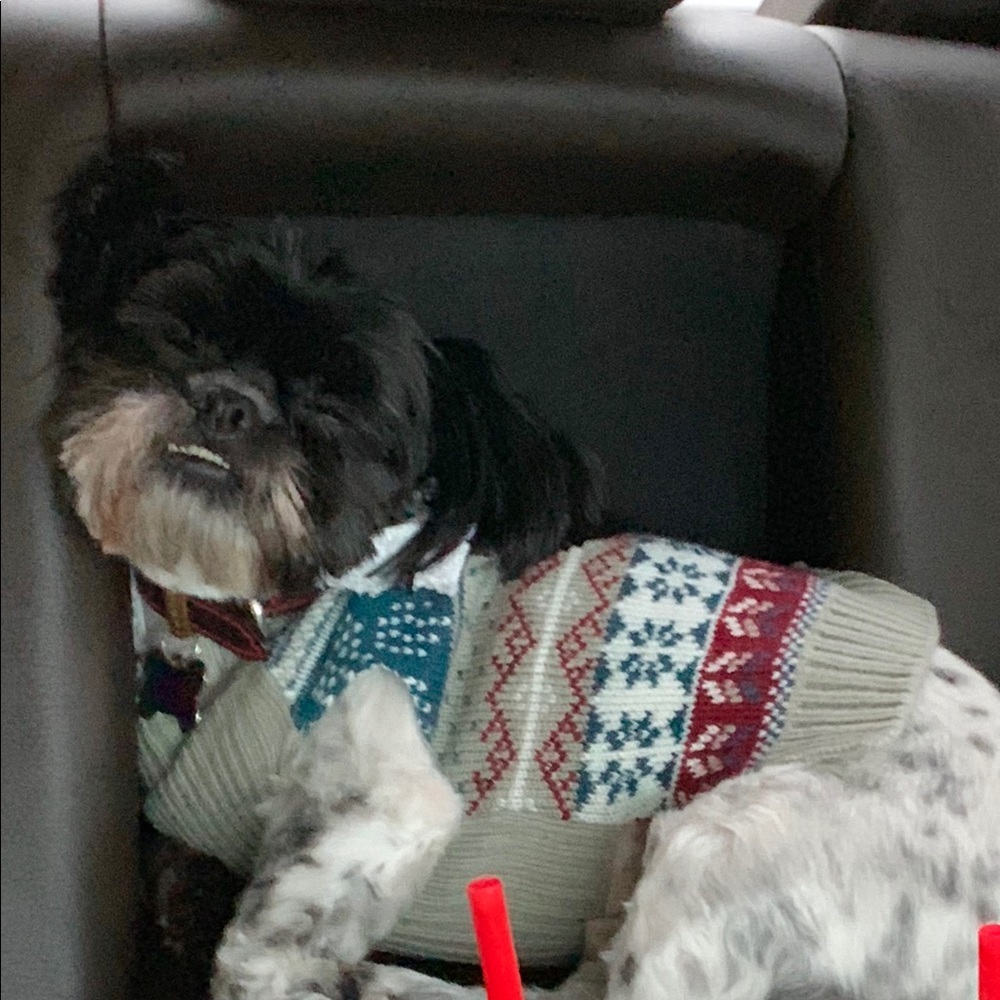 Meet your Posher, Tosha